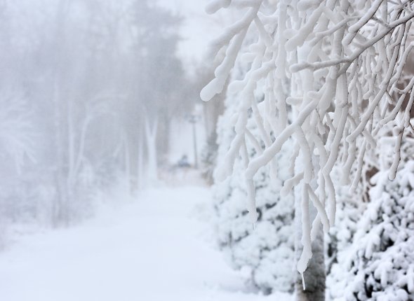 Новость дня