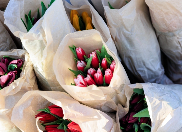 Новость дня