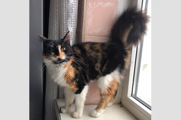 Новость дня