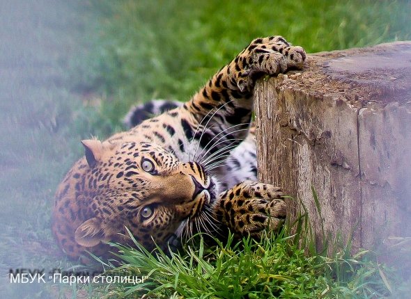 Новость дня