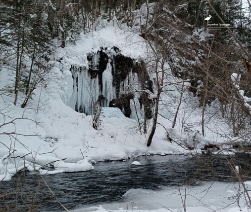 Новость дня