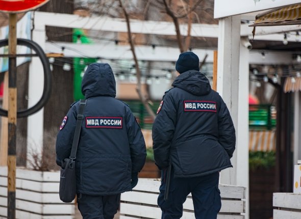 Новость дня