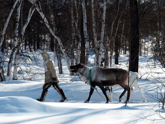 Новость дня