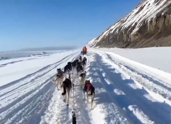 Новость дня