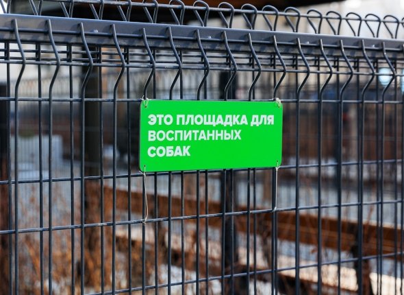 Новость дня