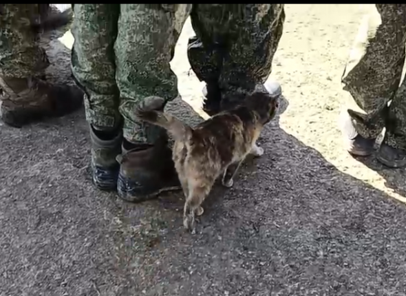 Новость дня