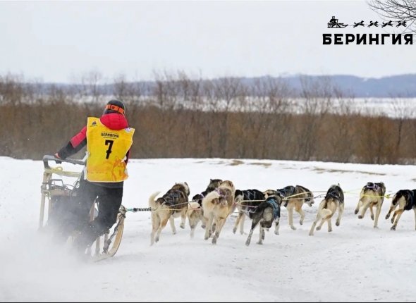 Новость дня