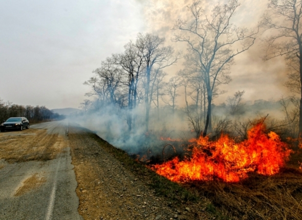 Новость дня