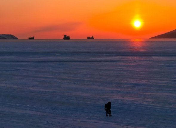 Новость дня