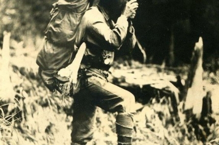 Новость дня