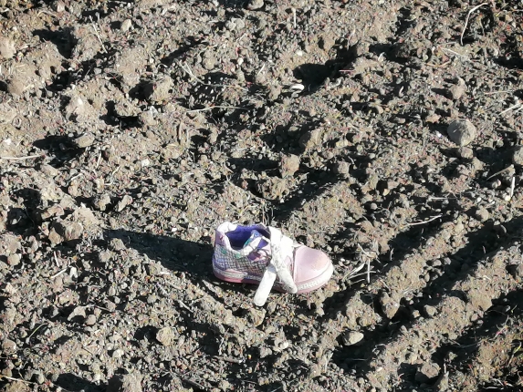 Новость дня