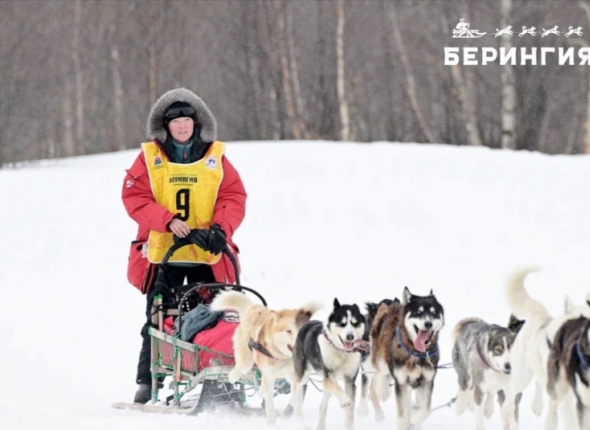 Новость дня