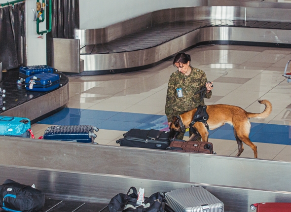 Новость дня