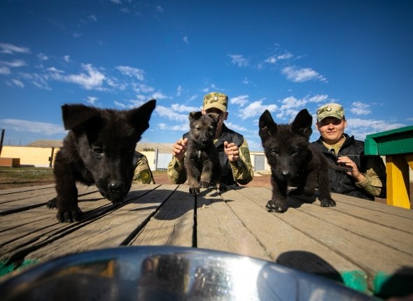 %22Служат два товарища%22 — выбираем самых обаятельных напарников росгвардейцев