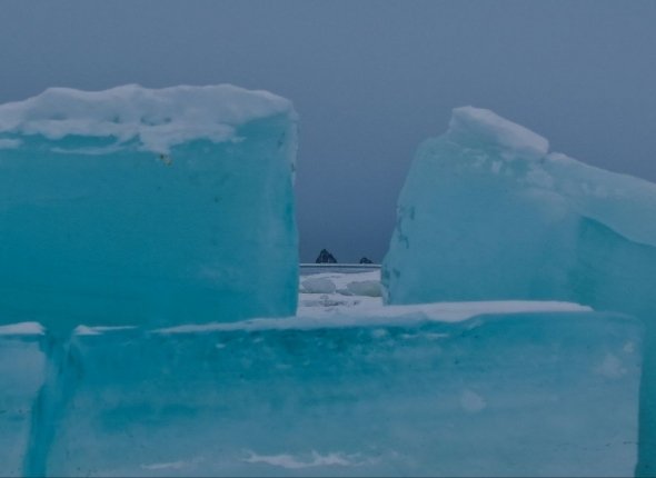 Новость дня