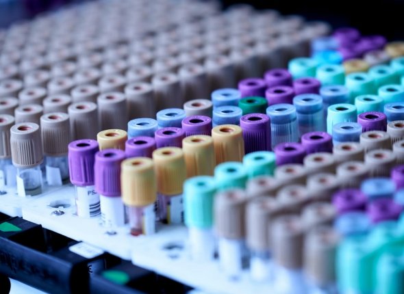 Новость дня