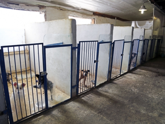 Новость дня