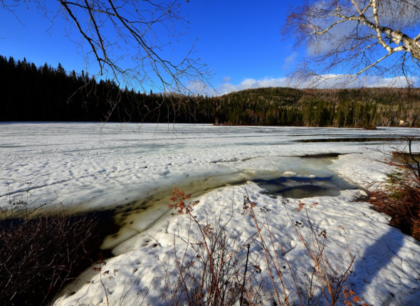 Новость дня