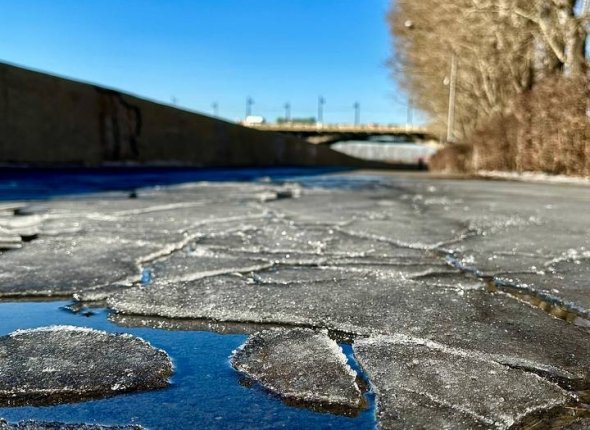 Новость дня