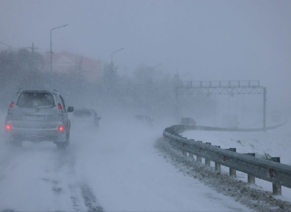 Новость дня