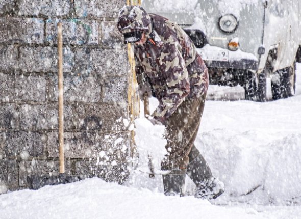 Новость дня