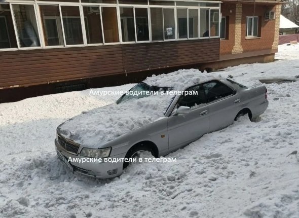 Новость дня