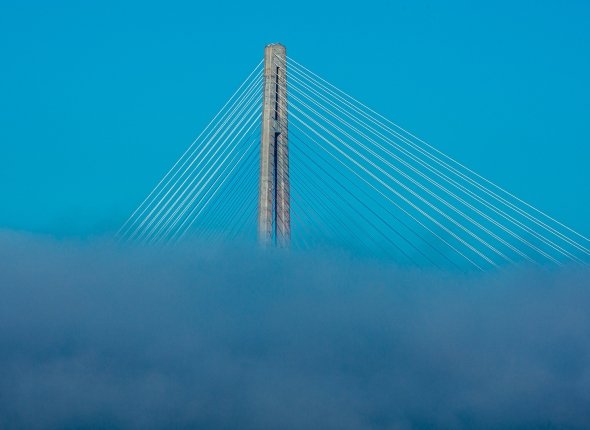 Новость дня