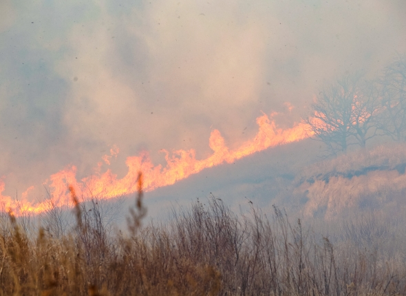 Новость дня