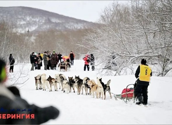 Новость дня