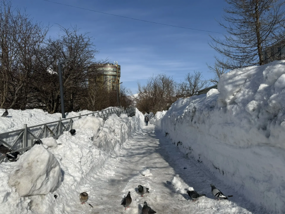 Новость дня