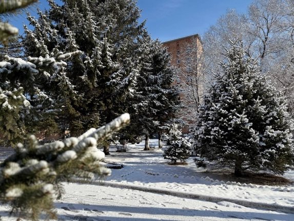 Новость дня