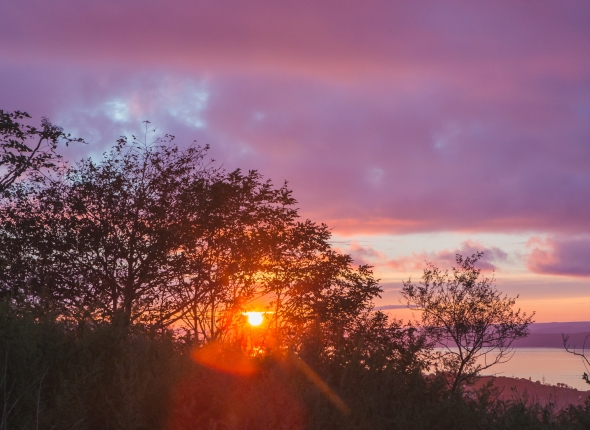 Новость дня