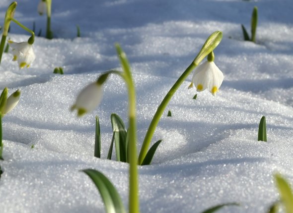 Новость дня