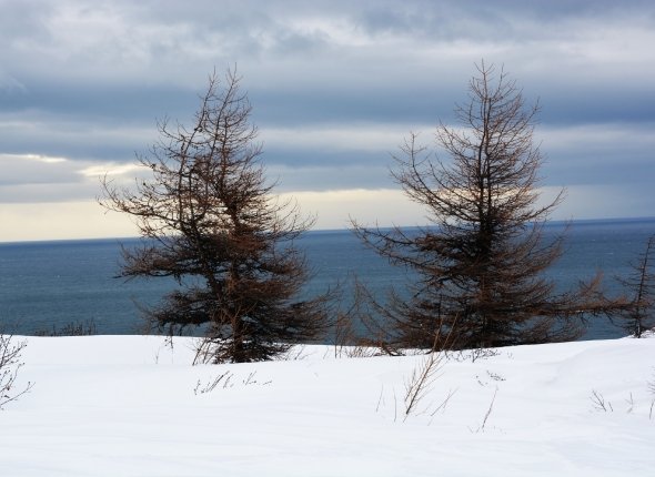 Новость дня