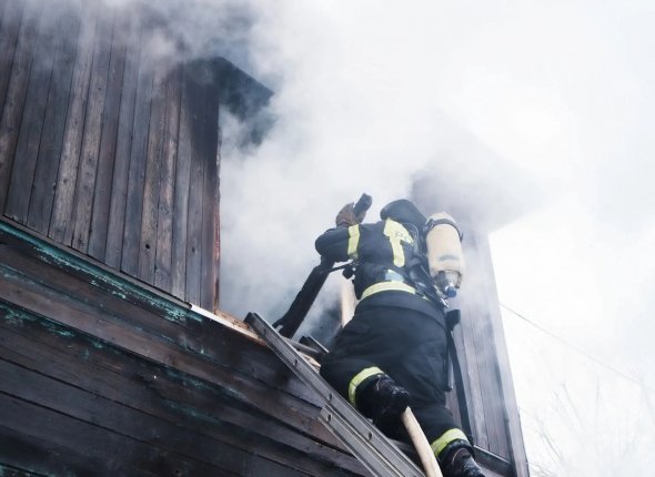 Новость дня