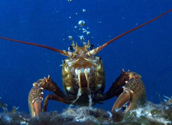 Новость дня