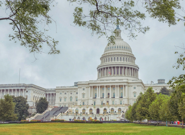 Новость дня