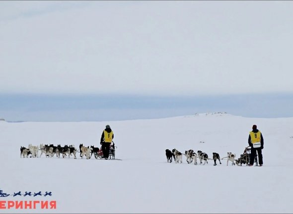 Новость дня
