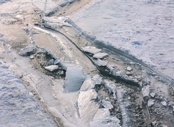 Новость дня