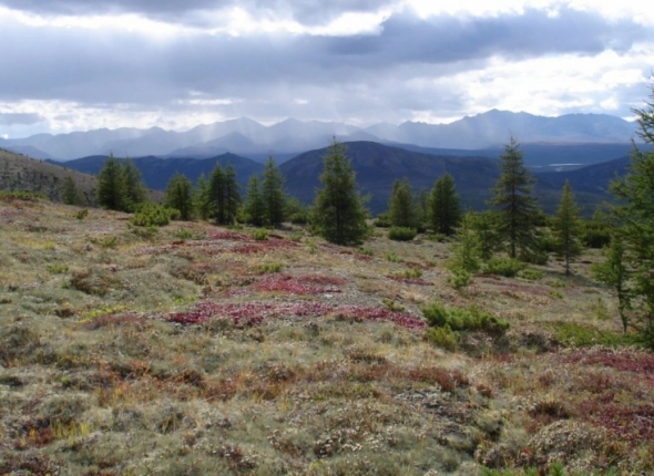 Новость дня