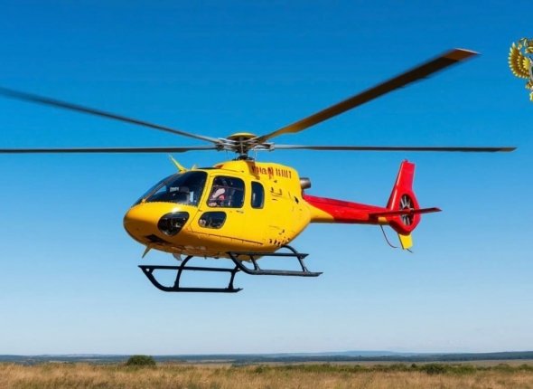 Новость дня