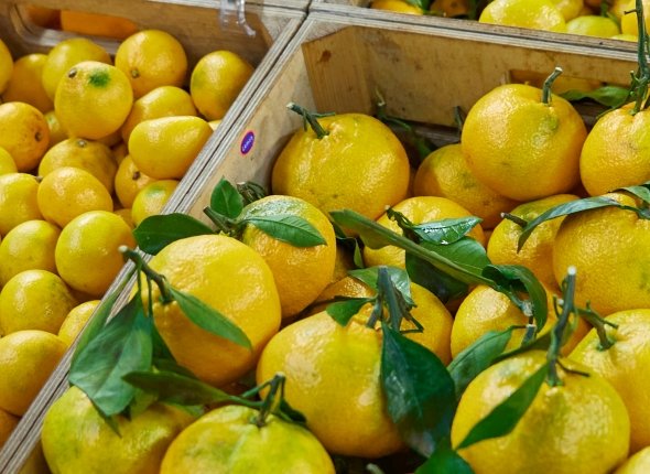 "Будущее литературы - за большими проектами Дальнего Востока и космонавтикой"