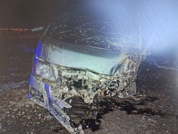 Новость дня