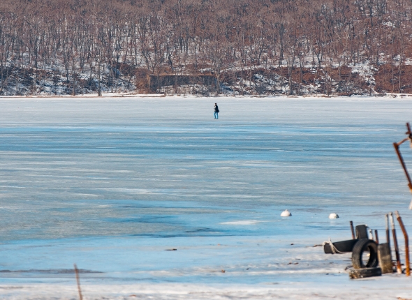 Новость дня