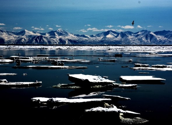 Новость дня