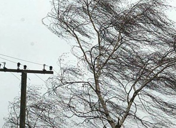 Новость дня