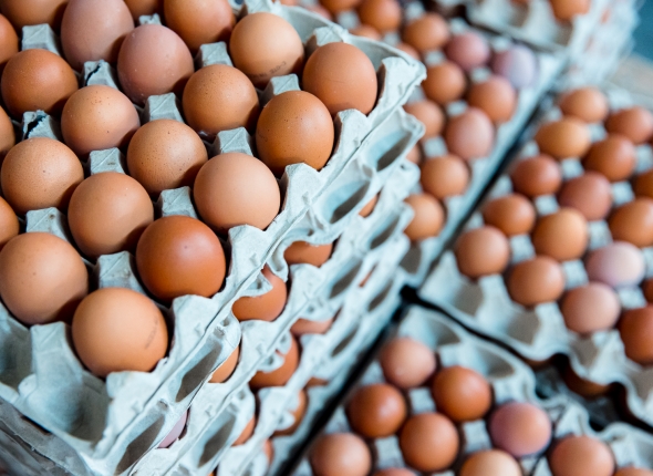 Новость дня