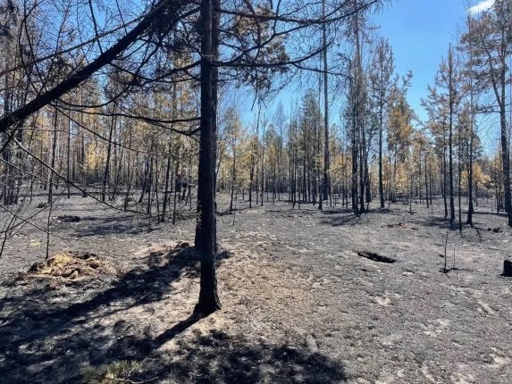 Новость дня