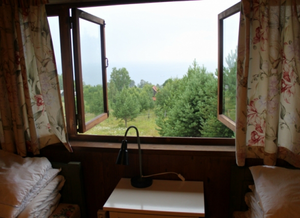 Новость дня