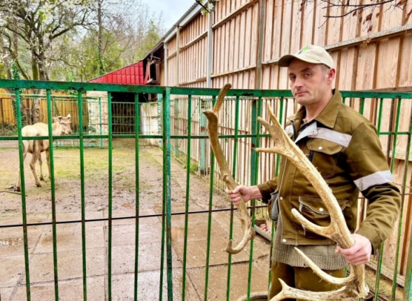 Новость дня